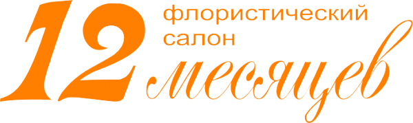 Логотип компании 12 месяцев